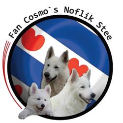 Zwitserse witte herders Fan Cosmo’s Noflik Stee