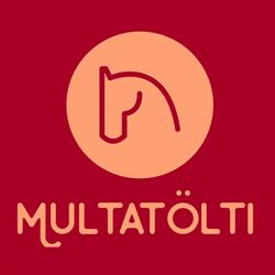 multatölti Ijslander ritten