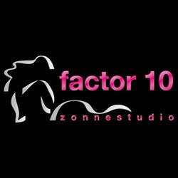 Factor 10 Zonnestudio Meppel