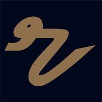 RFPnetworks