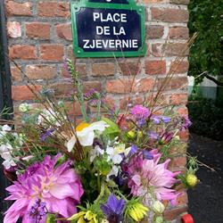 Bloemenboerderij Pluktuin Hof Zjevernie