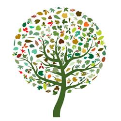 Thrivability holistische lichaamsgerichte coaching
