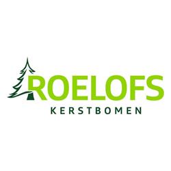 Roelofs kerstbomen HERO Groen