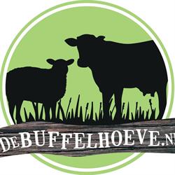 Buffelhoeve