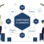 Composable e-commerce consultant