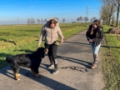 Hondencursus aan huis - Dog Dimension