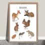 Bosdieren poster, Nederlands