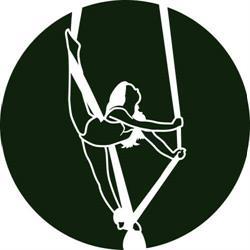 aerials gym