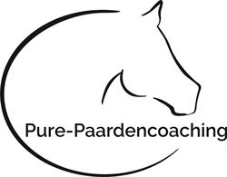 Pure-Paardencoaching