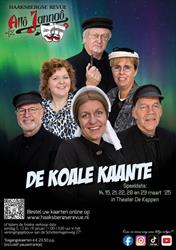 de Haaksbergse revue