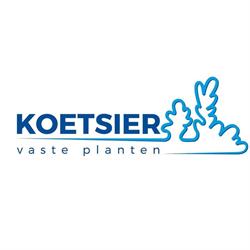 Koetsier Vaste Planten B.V.