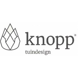 Knopp