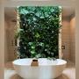plantenwand badkamer