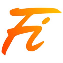 Feeture Insoles
