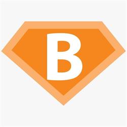 Budget Repair Oldenzaal