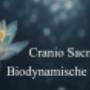 cranio sacraal zutphen
