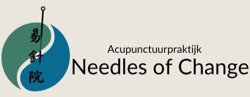 Acupunctuur praktijk Needles of Change