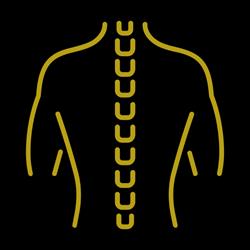 Fysiotherapie Focus Houten