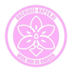 Orchidee kopen | Orchidee-kopen.nl
