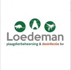 Loedeman ongediertebestrijding