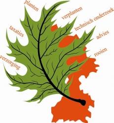 Algemene Bomendienst Limburg B.V.
