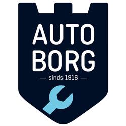 Bosch Car Service Autoborg