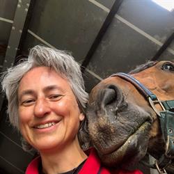 Very Important Horse