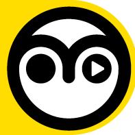 The Yellow Academy