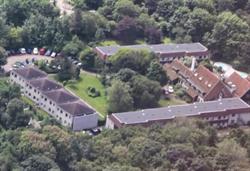 Duinkonijn