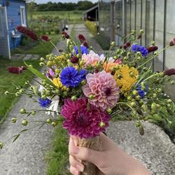 Samen op de tuin