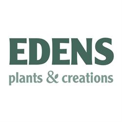 Edens Plants & Creations