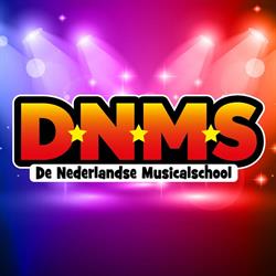De Nederlandse Musicalschool B.V. Amersfoort