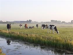 Vermeulen-Rehorst Berkenwoude