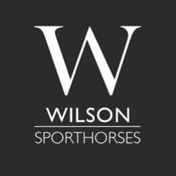 Wilson Sporthorses Heusden (gemeente Asten Noord-Brabant)