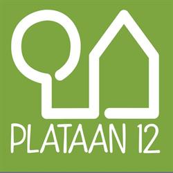 PLATAAN12 Made