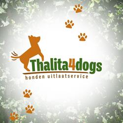 Thalita 4 Dogs Streefkerk