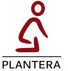 Plantera B.V. Marknesse