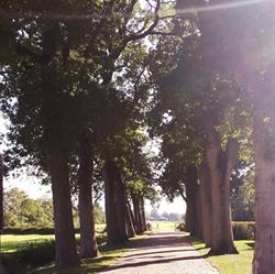 B&B De Herenboer Opeinde
