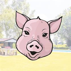 B&B de Knorrehoeve Rhenen
