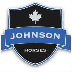 Johnson Horses B.V. Ysselsteyn