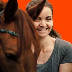 Stable & Fit Berkel en Rodenrijs