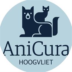 AniCura Hoogvliet Spijkenisse Hoogvliet Rotterdam