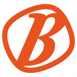Branditt sign & media