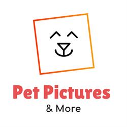 Pet Pictures & More Sweikhuizen