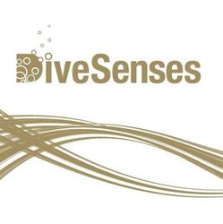 DiveSenses Breda