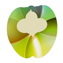 Springboon Kinder- en gezinsprofessionals Warnsveld