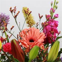 Delifleur Paterswolde