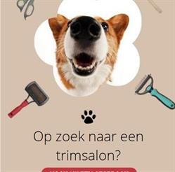 Dog's Totaal (Trimsalon, Hondenbenodigdheden, Dierentolk, Trainingen)