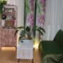 Thai Massage in Hoofddorp