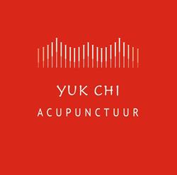 Yuk Chi Acupunctuur Haarlem